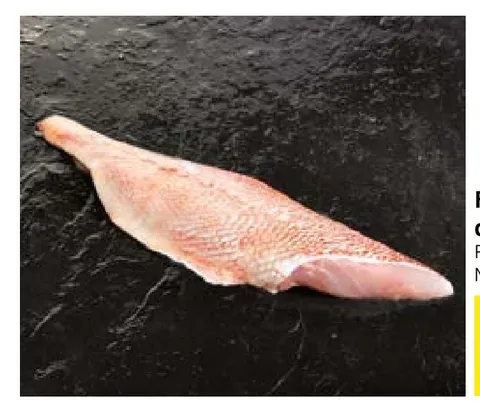 Sea bream fillet