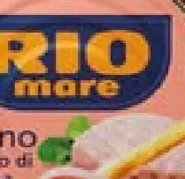 Tuna in olive oil