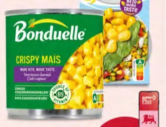 Crispy Corn