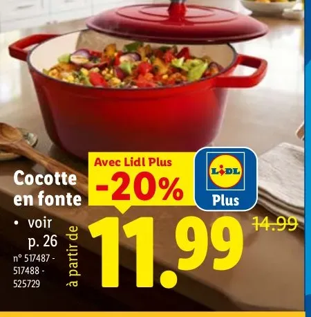 Cast iron pot