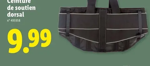 Back support belt