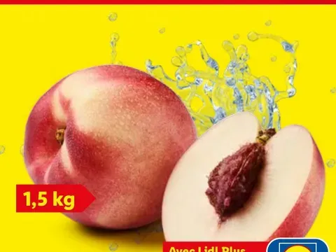 Nectarines XXL