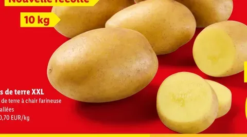 XXL potatoes