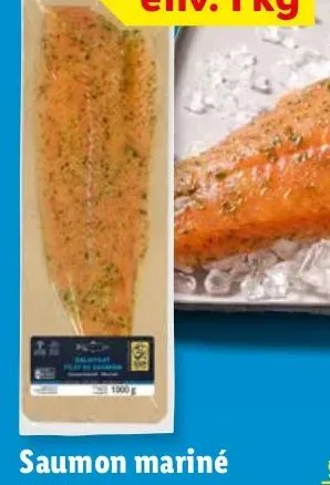 Marinated Salmon